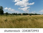 Green untouched field meadow with flowers, bent and grass. The wind is blowing. In the distance, the church and country houses. A classic wild and magical natural landscape in summer.