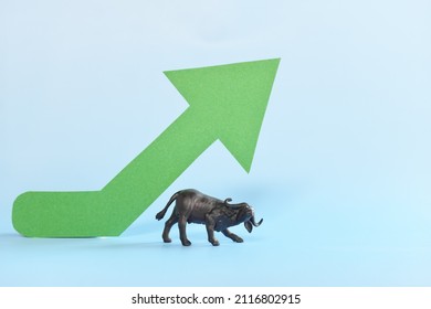 Green Upward Arrow Beside A Bull Animal Figure. Bullish Run Market In Stocks And Cryptocurrency Trading Concept.