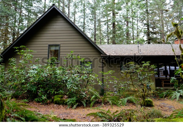 Green Vacation Cabin Forest Oregon Along Royalty Free Stock Image