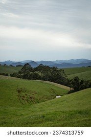 A green valley with interlocking slopes and trees with mountains in the distance and overcast sky background