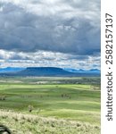 Green Valley (Square Butte), Fort Shaw Montana