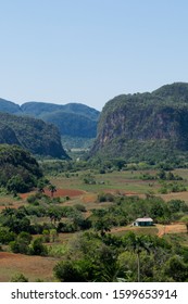 Green Viñales Valley View, Cuba