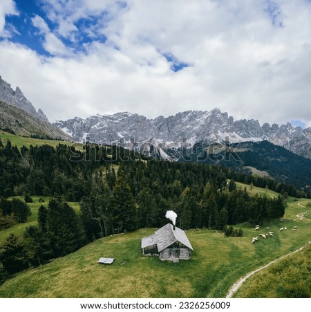 Green Valley with Wooden House and Grazing Sheep in the Alps