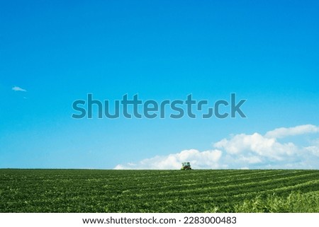 Green vegetable field and blue sky