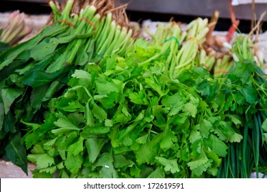 Green Vegetables And Dark Leafy Food Background As A Healthy Eating Concept