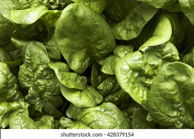 Green Vegetables And Dark Leafy Food Background As A Healthy Eating Concept Of Fresh Garden Produce Organically Grown As A Symbol Of Health 