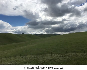The green velt