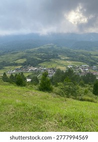green view from a height