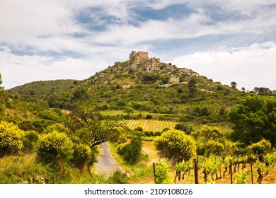 Green Vines in Corbière Wine Region Rolling Landscape in front of Aguilar Cathar Castle in Aude, France