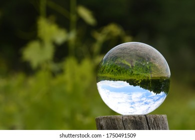 Green vineyard reflected in a Crystal Ball