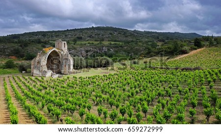 Green vineyards in french countryside of Languedoc Roussillon with the ruins of an old abbey at the background