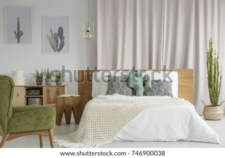 Green Vintage Chair Bedroom Cacti Rustic Stock Photo Edit