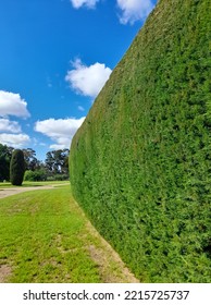 The Green Wall In Carrick Hill