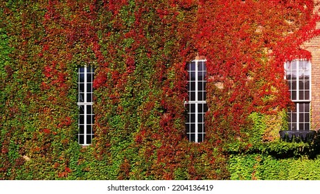 Green Wall Horizontal At Cityhall In Stockholm, Sweden