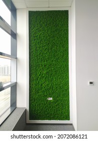 A Green Wall Made Of Stabilized Moss In A Modern Interior.