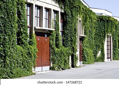 Green Wall On Building With Windows And Doors.