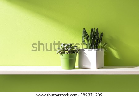 green wall and shelf