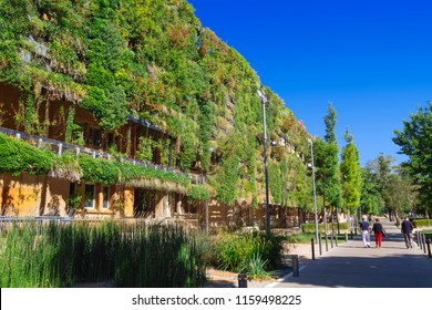 Green Wall In A Sustainable Eco Building