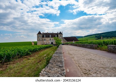 Green walled grand cru and premier cru vineyards with rows of pinot noir grapes plants in Cote de nuits, making of famous red and white Burgundy wine in Burgundy region of eastern France.