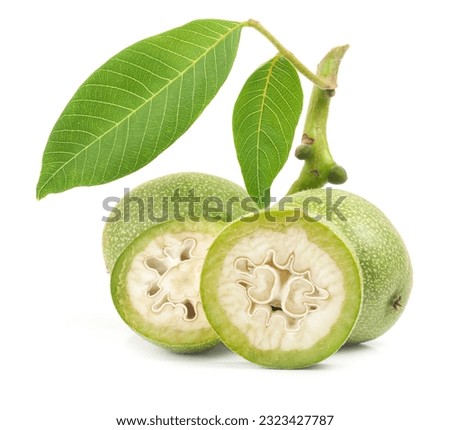 Green walnuts isolated on white background