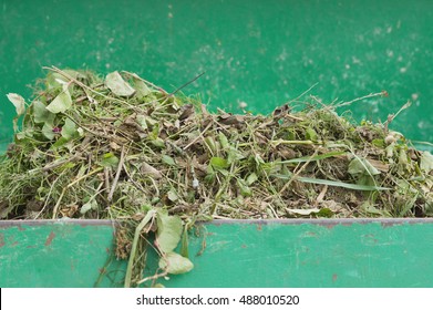 Green Waste