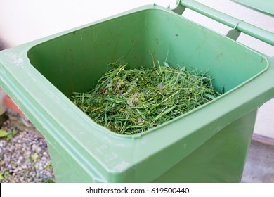 Green Waste , Bin In Garden For Recycling