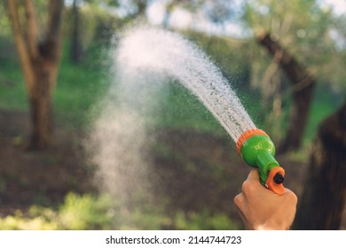 Green water sprayer in a female hand. Watering plants and lawn in the garden