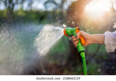 Green Water Sprayer In A Female Hand. Watering Plants And Lawn In The Garden