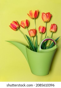 Green Watering Can With Bouquet Of Orange Fresh Tulips Flowers On Light Pastel Background. Greeting Card For Holiday Event. Happy Labor Day. Springtime Or Gardening Concept