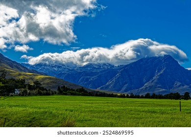 Green wheat below snow covered mountain after winter storm near Worcester in the Western Cape, South Africa - Powered by Shutterstock