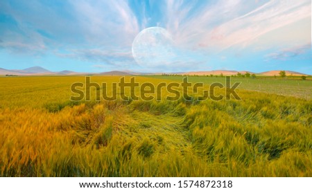 Similar – Foto Bild Wolkenformation die wie ein Vogel aussieht über einem abgeernteten Feld mit Strohballen.