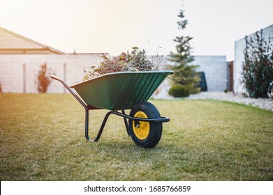 Green wheelbarrow in the garden. Garden wheelbarrow full of weeds and branches.