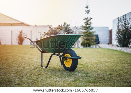 Green wheelbarrow in the garden. Garden wheelbarrow full of weeds and branches.