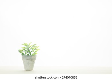 Green White Background