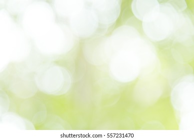 Green And White Bokeh From Natural