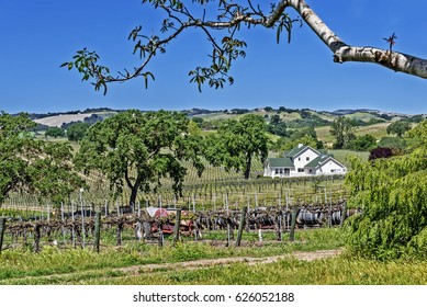 Green & White Farmhouse / Winery, On The Scenic Hills Of The California Central Coast Where Vineyards Grow A Variety Of Fine Grapes For Wine Production, Near Paso Robles, CA. On Scenic Highway 46.