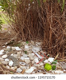 Green, White And Gray Coloured Objects Outside Bower Bird Nest.