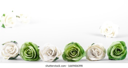 Green and white roses on a white background, decorate vintage style. Giving feelings of love care and nostalgia.
