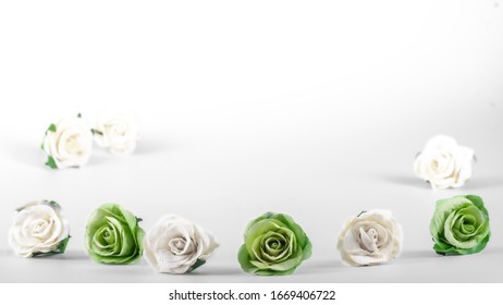 Green and white roses on a white background, decorate vintage style. Giving feelings of love care and nostalgia.