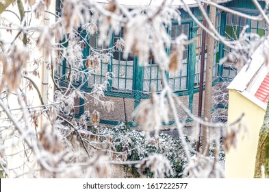 Green Window Frame Between Snowy Frozen Tree Branches