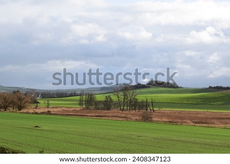 green winter landscape with a swampland in the middle