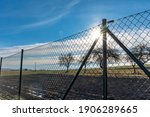 Green wire fence. Private property. Fence around the garden. Sunrise behind the fence.