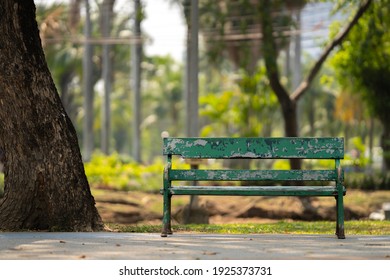Green wooden bench in the city park.