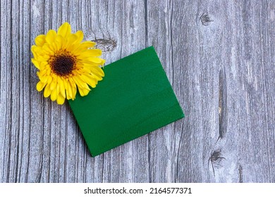 Green Wooden Cube With And Sunflower Flat Lay With Copy Space. Directly Above.