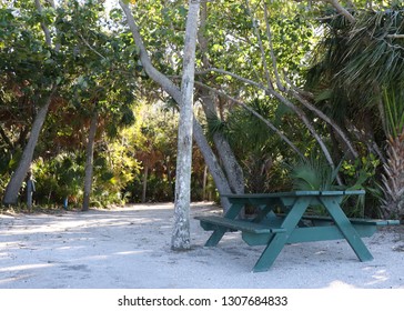 Green Wooden Picnic Bench At An Empty Camp Site With Trees In The Background In Fort De Soto, Florida