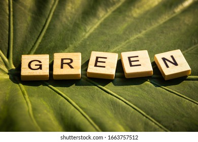 GREEN word created with hipster style vintage board game wooden letters on real leaf background. Oblique sun rays shining on the letters creating shadows.