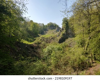 The Green Of Wrens Nest 