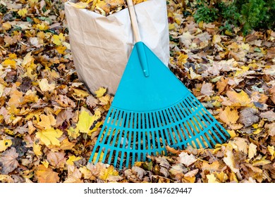 A Green Yard Rake Leaning Against A Yard Waste Bag Full Of Leaves