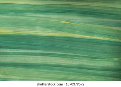 green and yellow color painted on paper background texture
