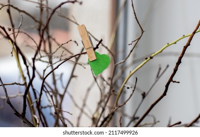 Green Or Yellow Paper Heart Attached By Tree Branches From A Vase, In The House. Heart Attached With Wooden Clothes Pin. Home Decoration. Dry Branches. Blue Background Or Near The Window. Love, 